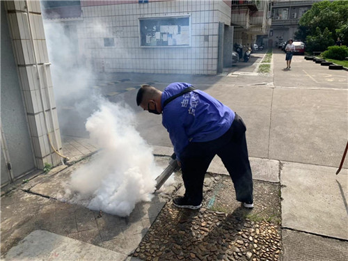 南宁专业白蚁防治灭治