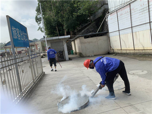 南宁白蚁防治报价