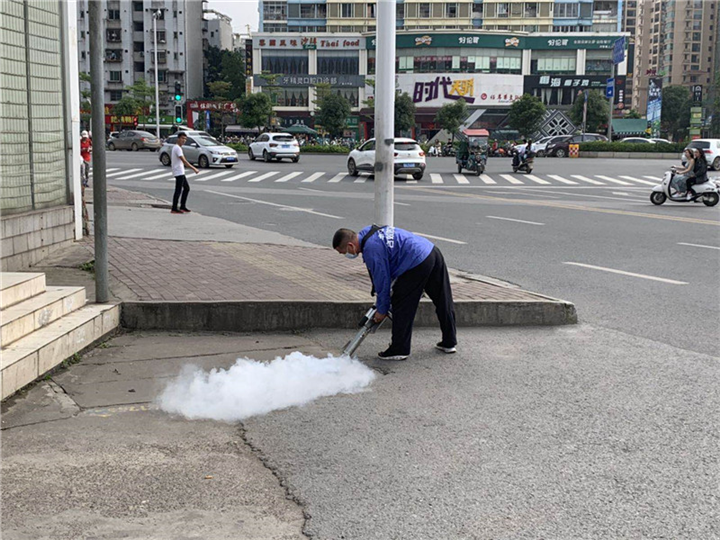 南宁灭老鼠公司
