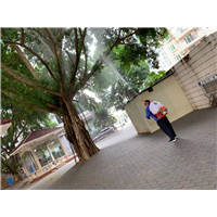 南宁白蚁防治电话