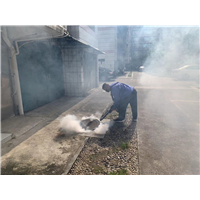 南宁专业杀白蚁