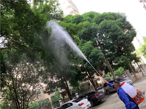 南宁白蚁防治