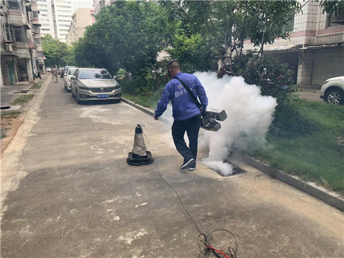 南宁专业白蚁防治