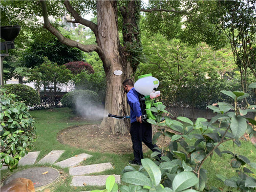 南宁街区白蚁防治