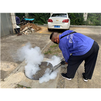 南宁白蚁防治电话