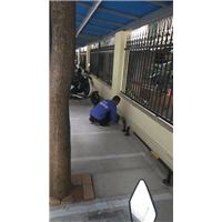 南宁白蚁防治哪家好