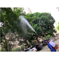 南宁白蚁防治