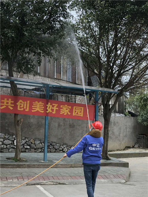 南宁白蚁防治公司-南宁申记白蚁防治