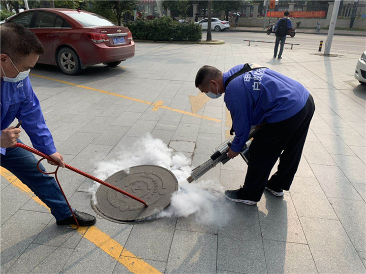 南宁白蚁防治|南宁市政白蚁防治工程