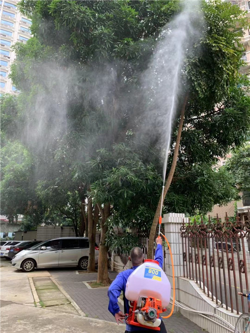 南宁白蚁防治施工4