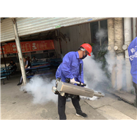 广西南宁灭白蚁