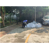 南宁市白蚁防治价格