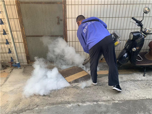南宁小区白蚁防治 
