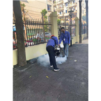 南宁白蚁防治35