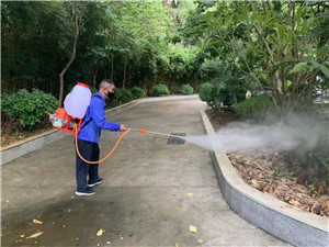 南宁灭蟑螂公司