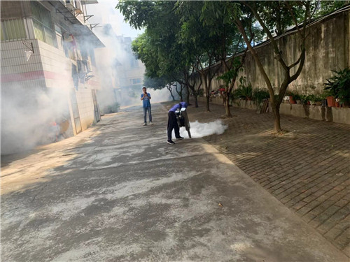 南宁市白蚁防治电话
