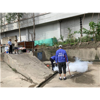 南宁白蚁防治|南宁药除白蚁