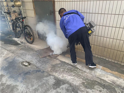 南宁小区白蚁整治