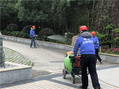 南宁白蚁防治公司|-南宁申记白蚁防治