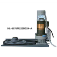HL-6555M220DC24-A(DC24V-300KG）