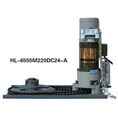 HL-65115M220DC24-A(DC24V-750KG)