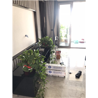 芜湖滨江世茂甲醛检测 
