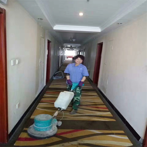 新区地毯清洗