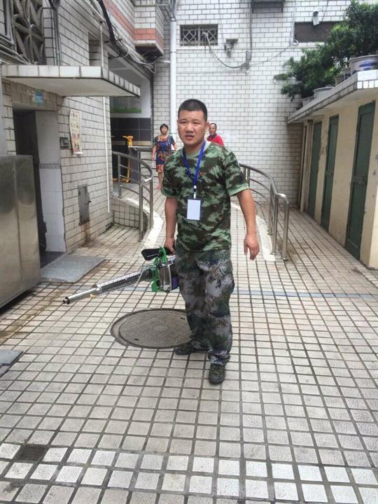 景洪消杀除害除害
