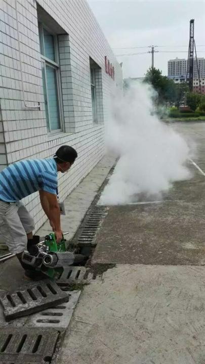 景洪灭四害