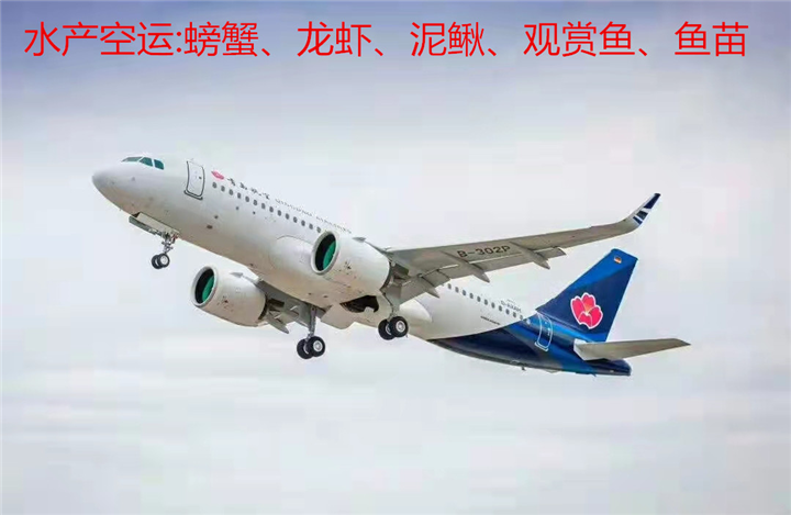 徐州水产空运