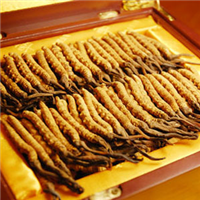 天津回收冬虫夏草 