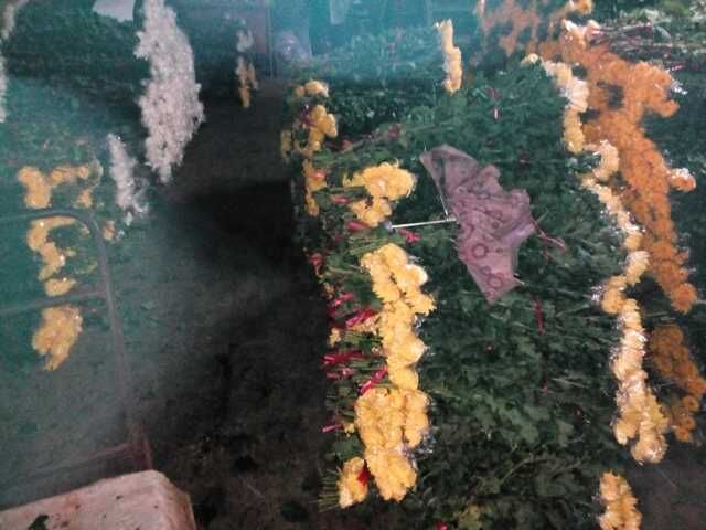广州玫瑰价格，广州菊花价格、广州叶材价格 