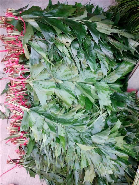 广州鲜花批发3 