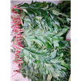 广州鲜花批发3 