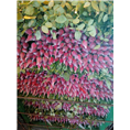 广州玫瑰价格广州菊花价格3 