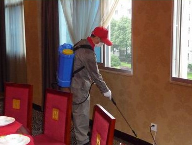 义乌家庭灭鼠│义乌工厂灭鼠 