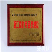 义乌灭白蚁│义乌白蚁防治 