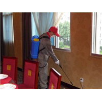 义乌家庭灭鼠│义乌工厂灭鼠 
