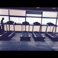 绍兴保养健身器材电话│绍兴保养**椅电话