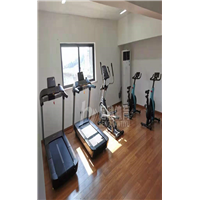 绍兴舒华跑步机店