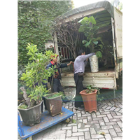 选黔西正规搬家公司需要注意哪些细节？