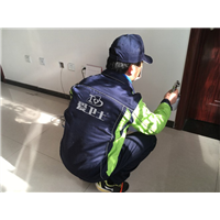 西安除甲醛案例