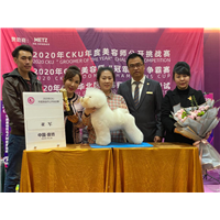 长春宠物美容培训