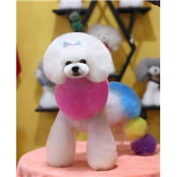 学员萌系列作品展示