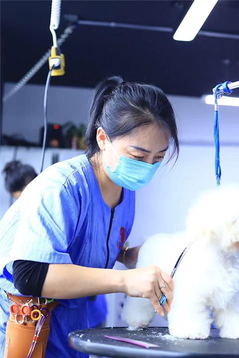 长春途嗳宠物美容环境