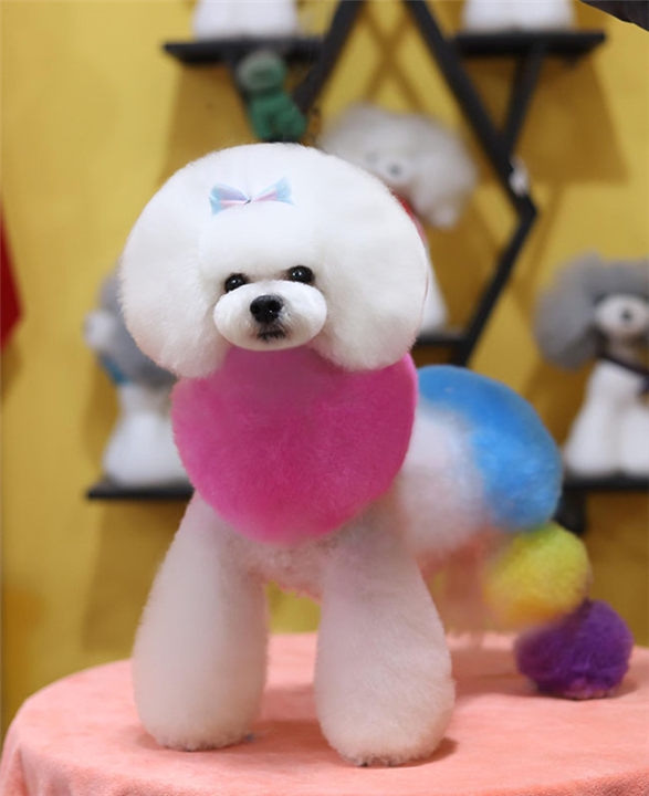 学员萌系列作品展示