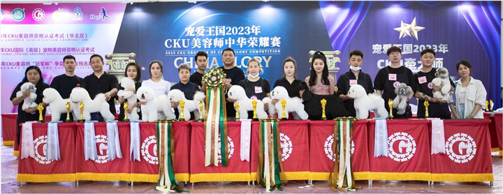 长春宠物美容在哪学