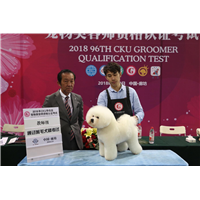 长春宠物美容师培训