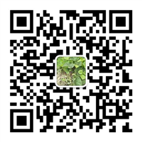 泗洪保洁二维码