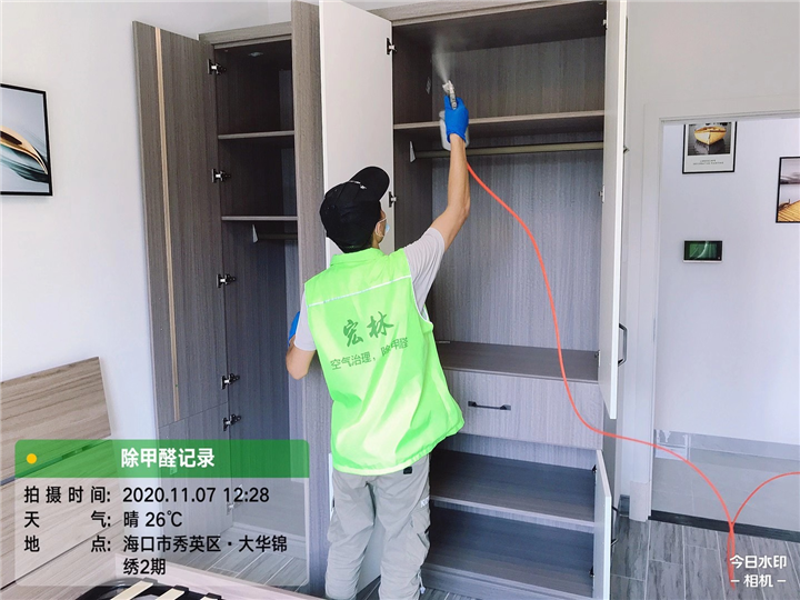 大华锦绣甲醛治理 